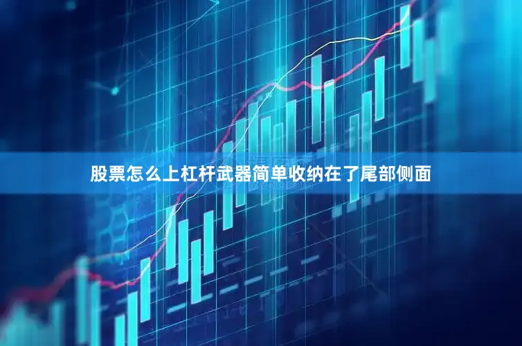 股票怎么上杠杆武器简单收纳在了尾部侧面